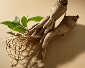Resveratrol